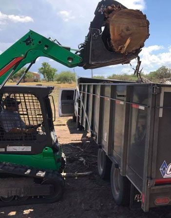 Commercial Tree Removal in Tucson