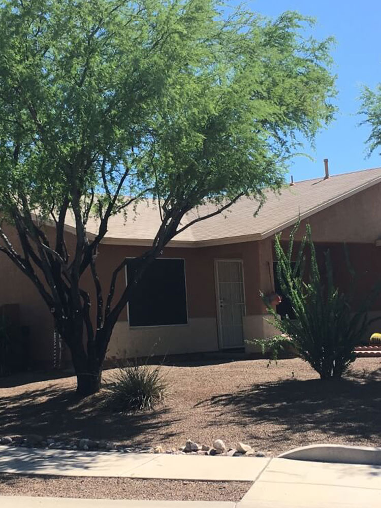 Landscaping in Tucson, AZ