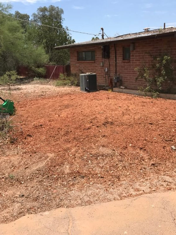 Trees R Us completing Tree Removal in Green Valley
